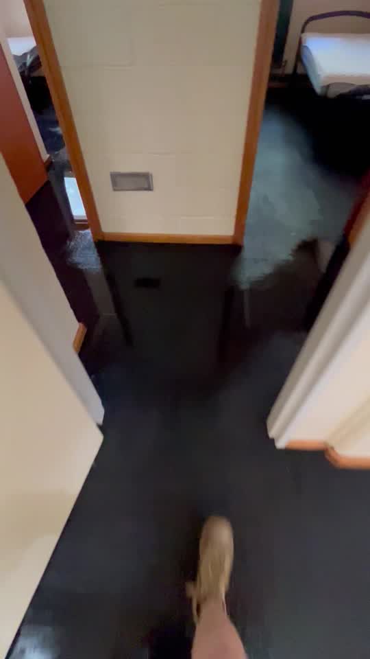 The water